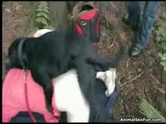 Slim delightsome can't live without his dog licks her love tunnel